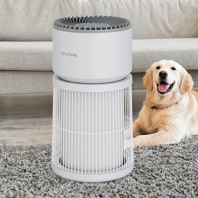 kopen Hot Sale Luchtzuiveraar voor Huisdieren voor Thuis Allergieën Huisdierharen in Slaapkamer online vervaardiging