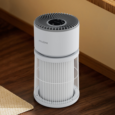 Nieuw ontwerp schoonmaker 3 in 1 True HEPA filter huisdier luchtreiniger voor huisdier kamer huis